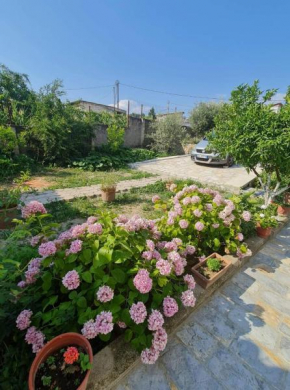 Villa Deart Berat